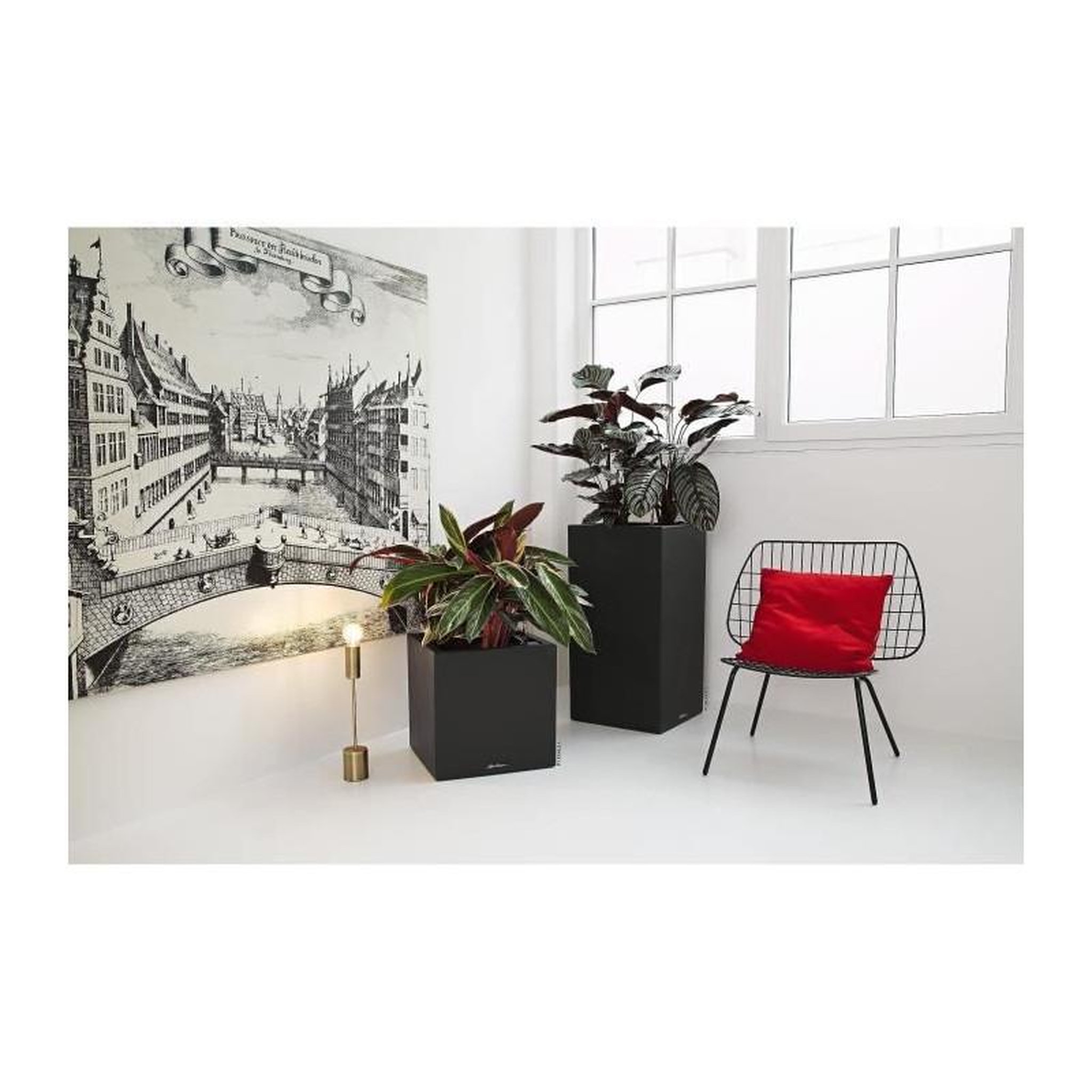 Voir la diapositive 5 : LECHUZA LECHUZA Jardiniere Canto Color Square 40 ALL-IN-ONE Graphite 13722