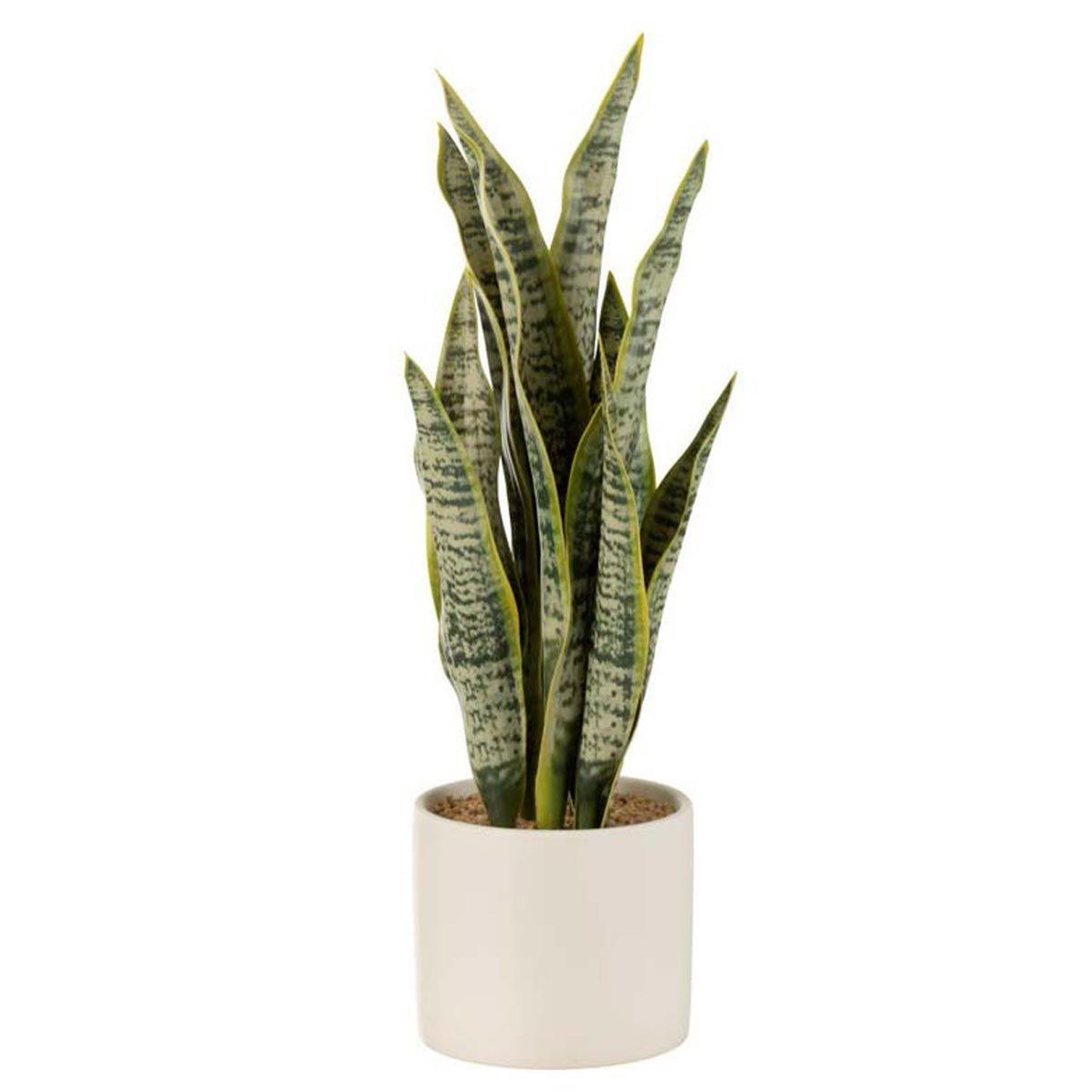 J-LINE Plante artificielle en pot  sansevieria  37cm vert