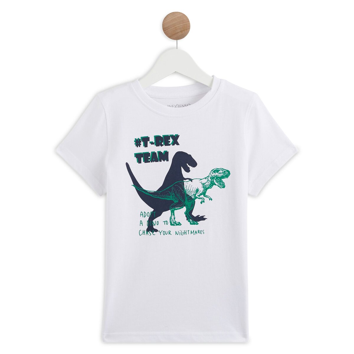 Tee shirt dinosaure discount garçon