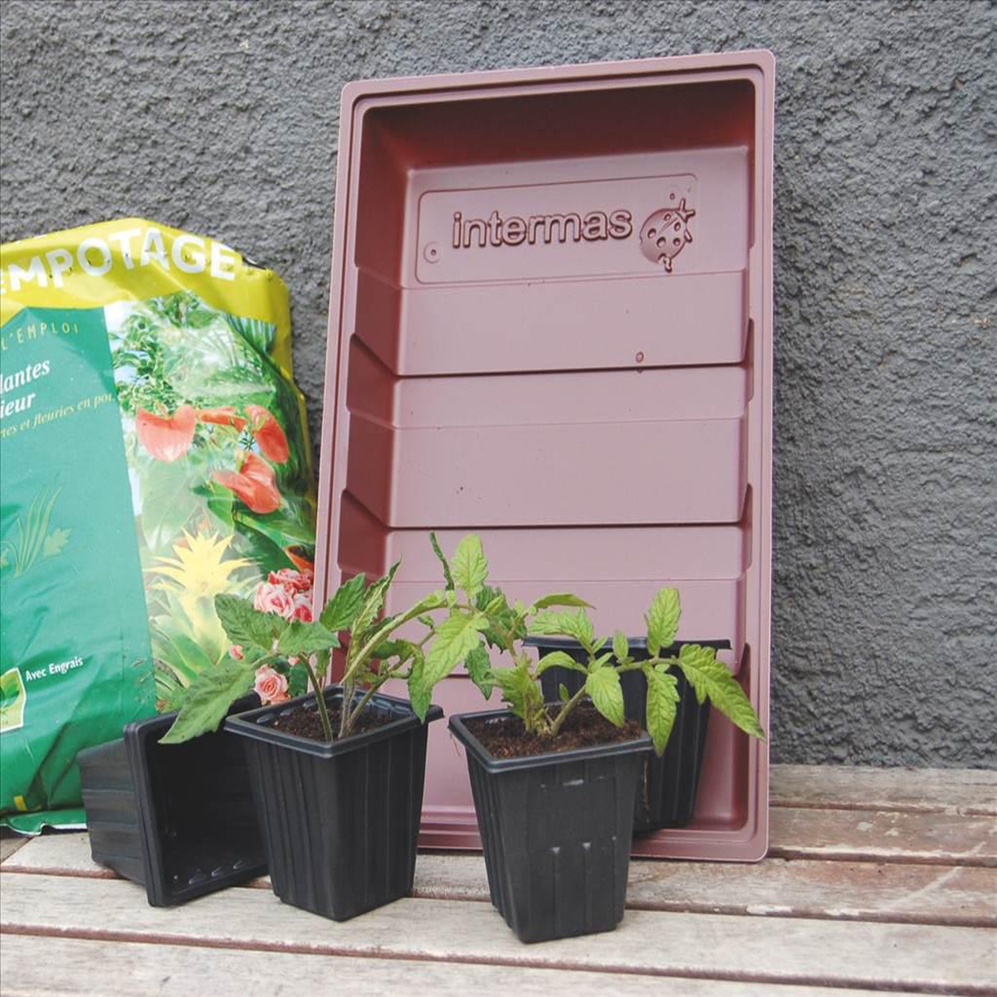 Nortene 7 pots pour semis  NORTENE