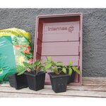 Nortene 7 pots pour semis  NORTENE