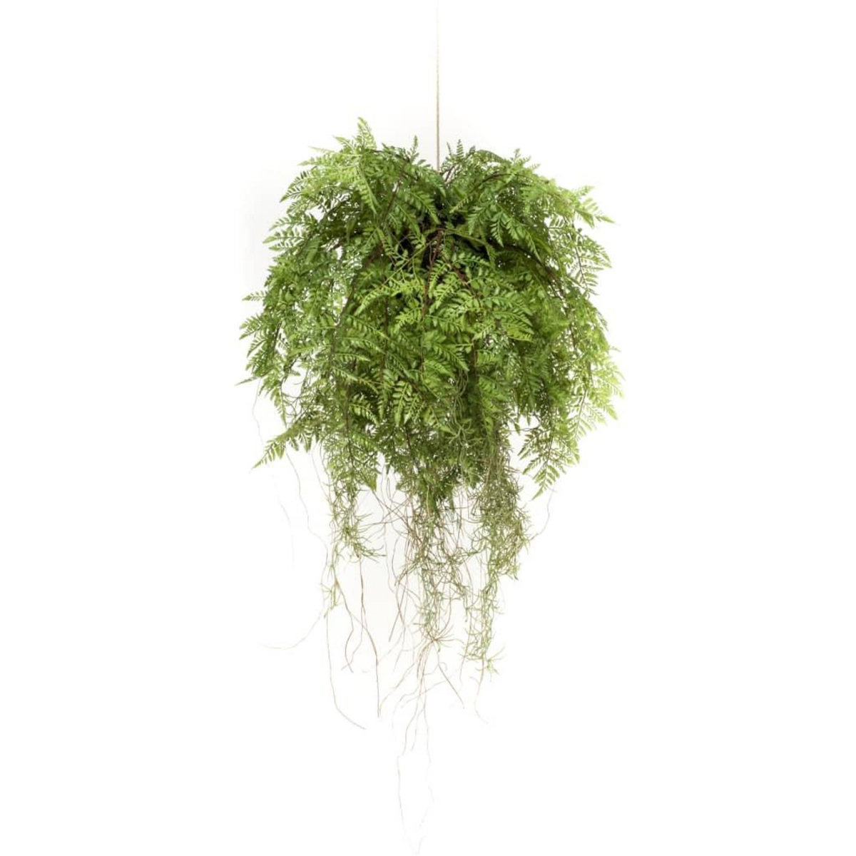 EMERALD Emerald Fougere artificielle suspendue avec racines 55 cm