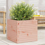 Voir la diapositive 1 : VIDAXL Jardiniere 50x50x46 cm bois massif douglas
