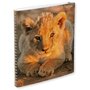 Cahier de texte 17x22cm 148 pages à spirale Animaux sauvages lionceau