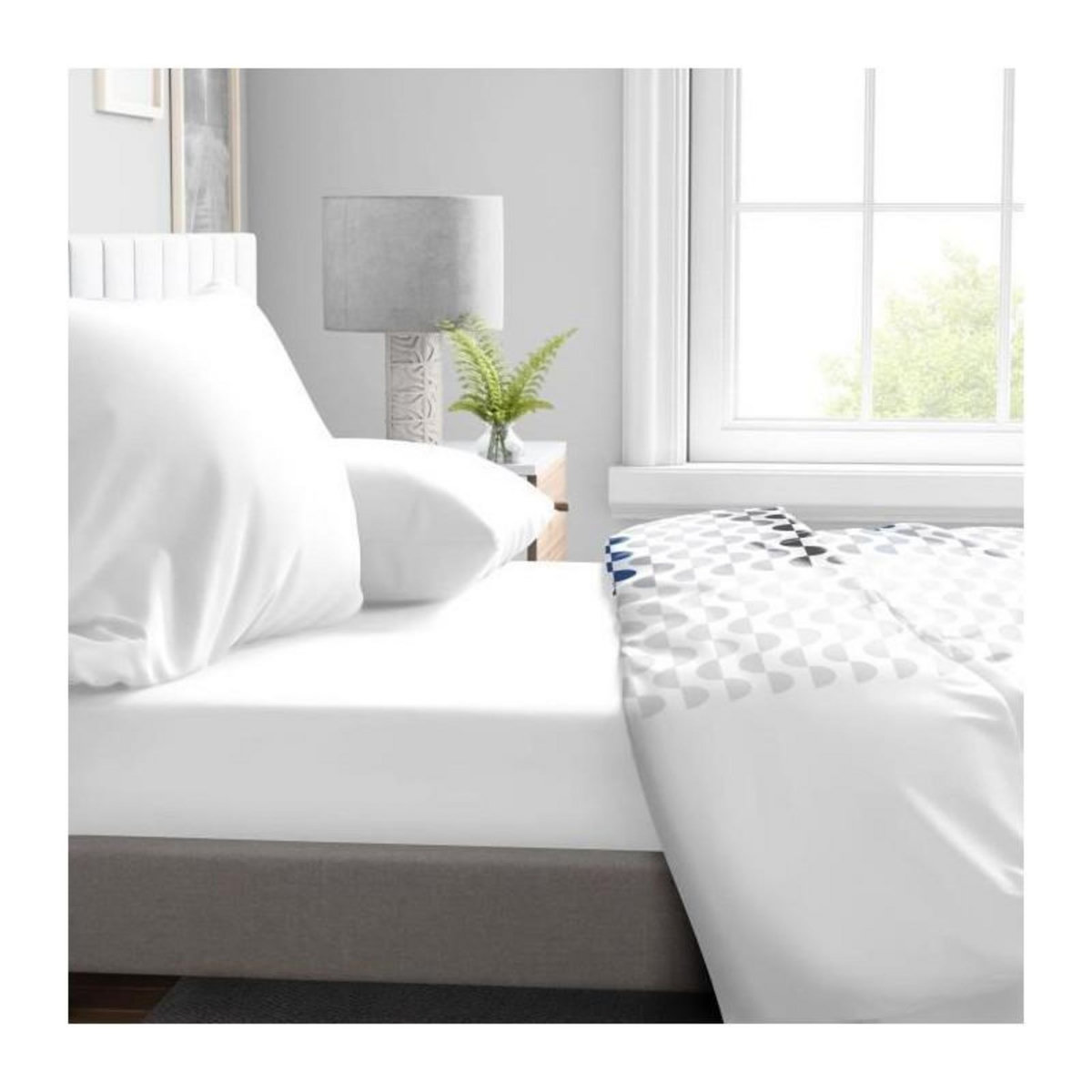 HOME LINGE PASSION Drap Housse - HOME LINGE PASSION - HP71760 - 90 x 190 cm + 30 cm bonnet - Microfibre - 82 g - BLANC