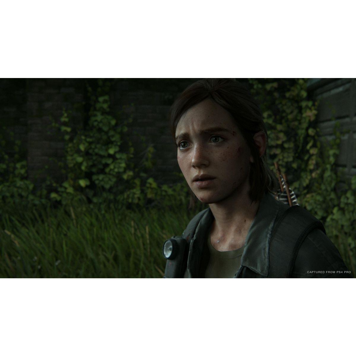 SONY The Last of Us Part II PS4