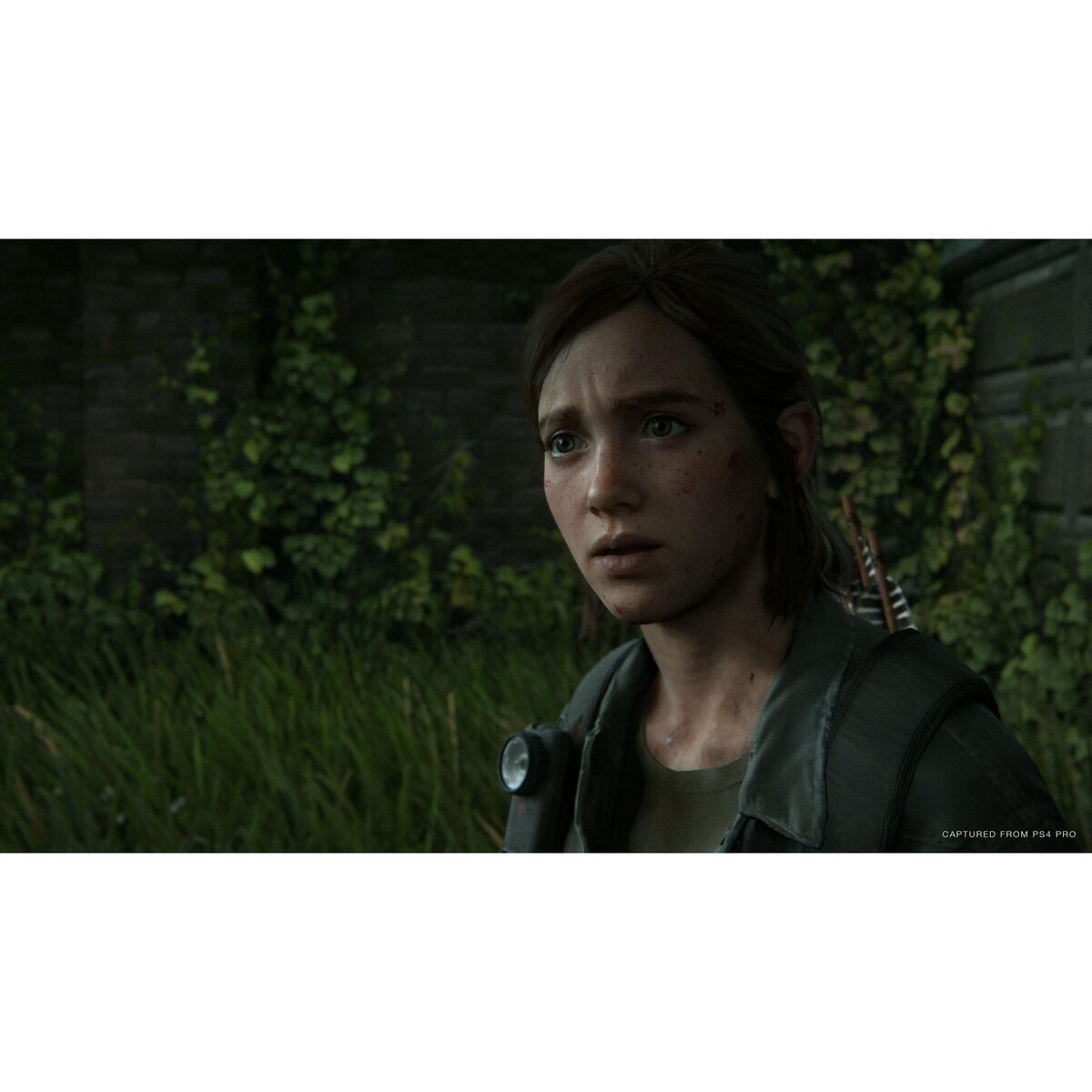 SONY The Last of Us Part II PS4