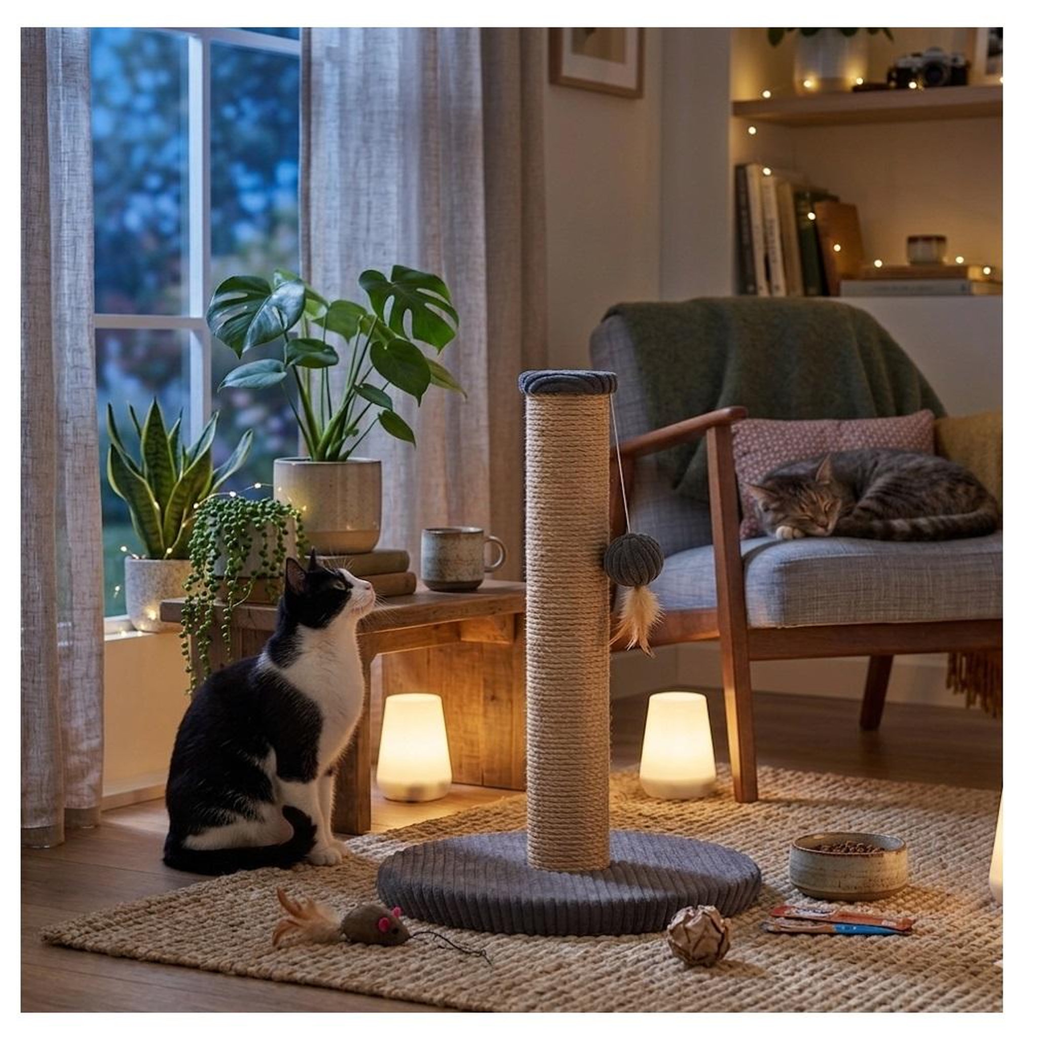 Voir la diapositive 5 : Eden Arbre a chat et jeu suspendu riba