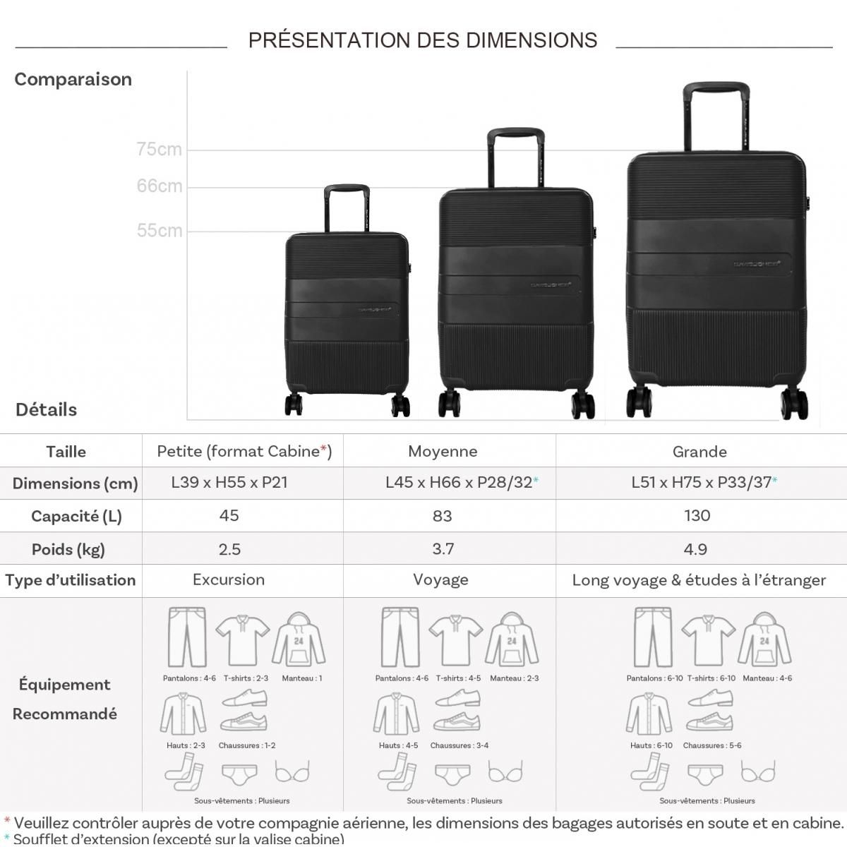 David Jones Lot 3 valises rigides dont 1 cabine TSA