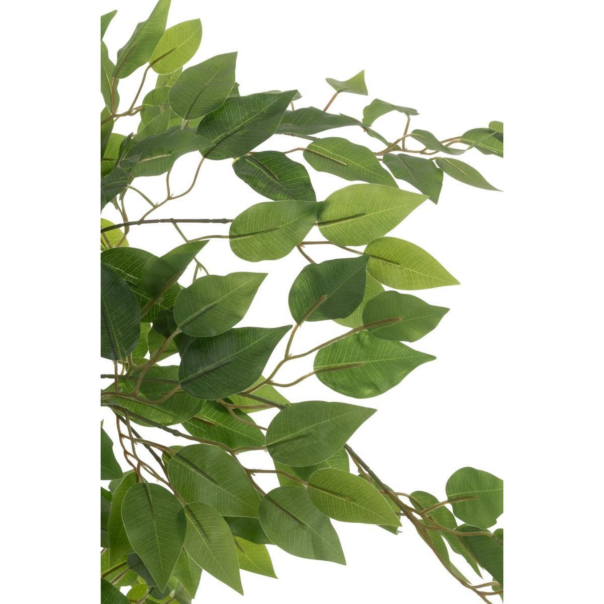 Voir la diapositive 2 : J-LINE Plante artificielle en pot  ficus  150cm vert