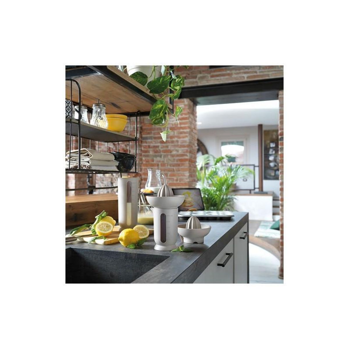 UFO PRESSE AGRUMES GRIS AVEC RECIPIENT BLIM PLUS - SM004-000001-319