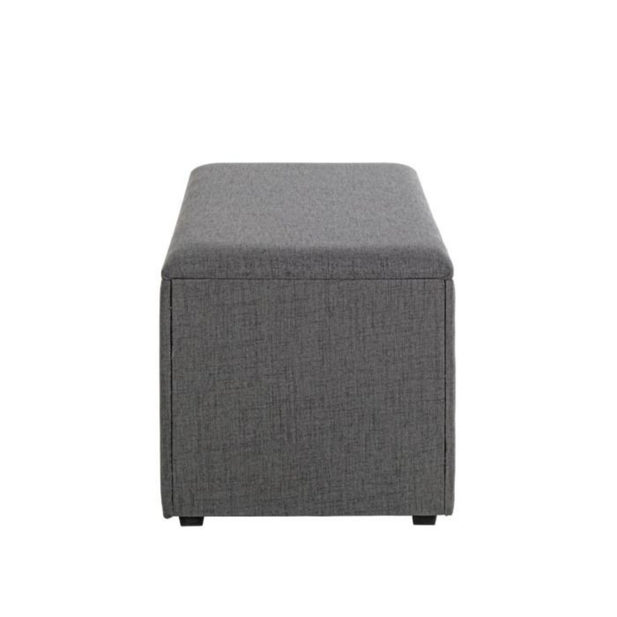 Paris Prix Coffre de Rangement Design  Lumyna  65cm Gris