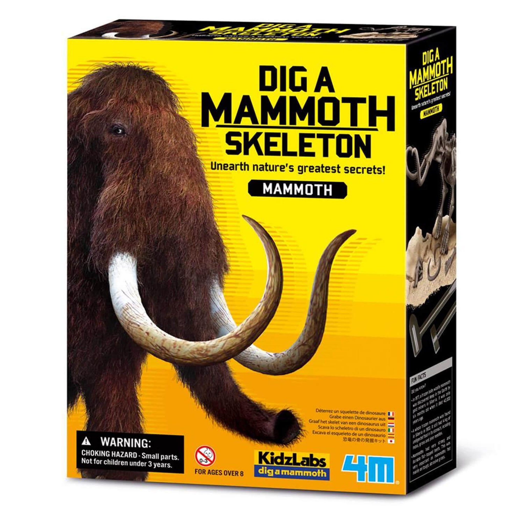 4M - Kidz Labs Mammouth Déterre ton Dinosaure Dig a dino