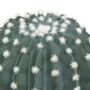 Voir la diapositive 2 : ATMOSPHERA Plante Artificielle en Pot  Cactus  25cm Vert