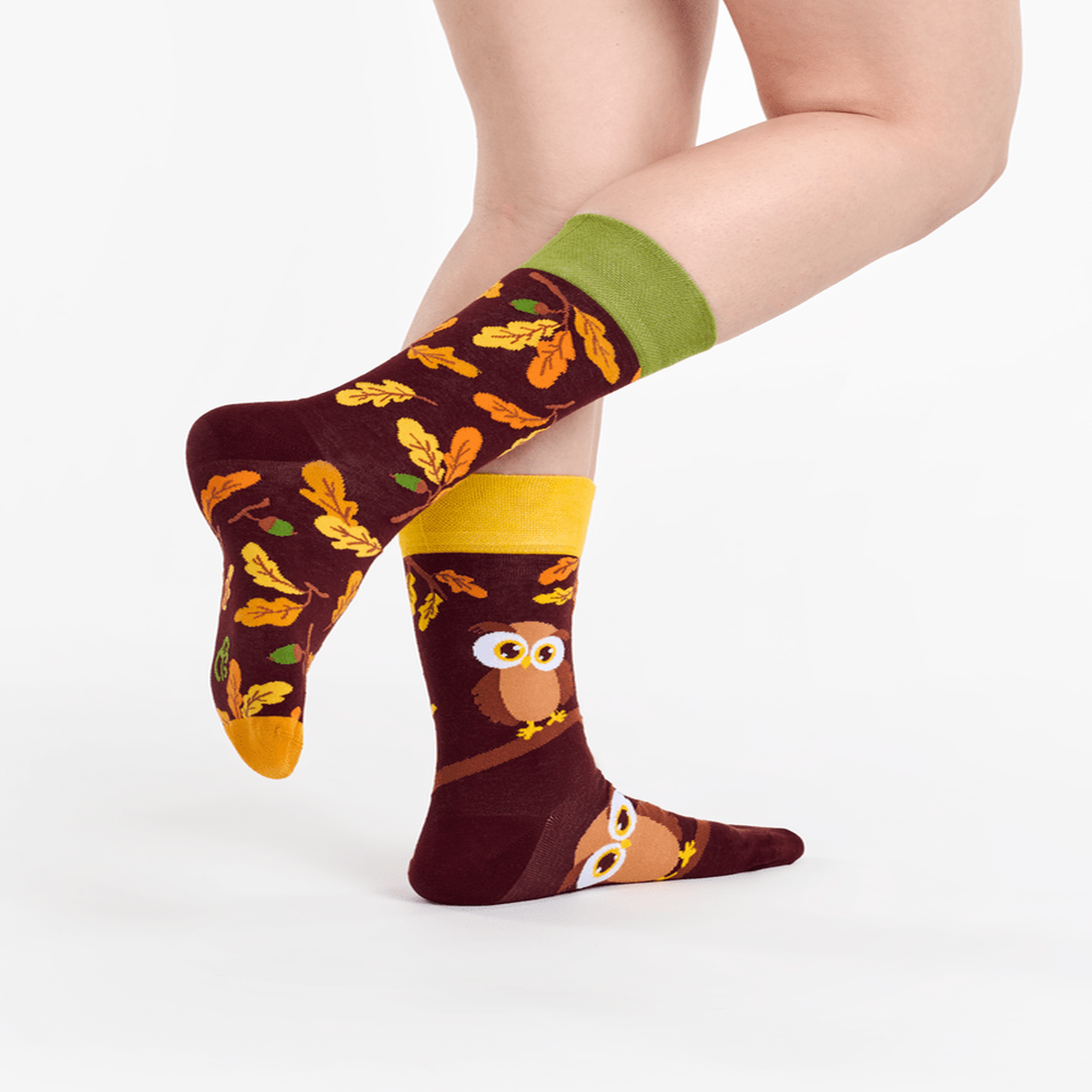 Voir la diapositive 3 : DEDOLES Chaussettes hibou curieux