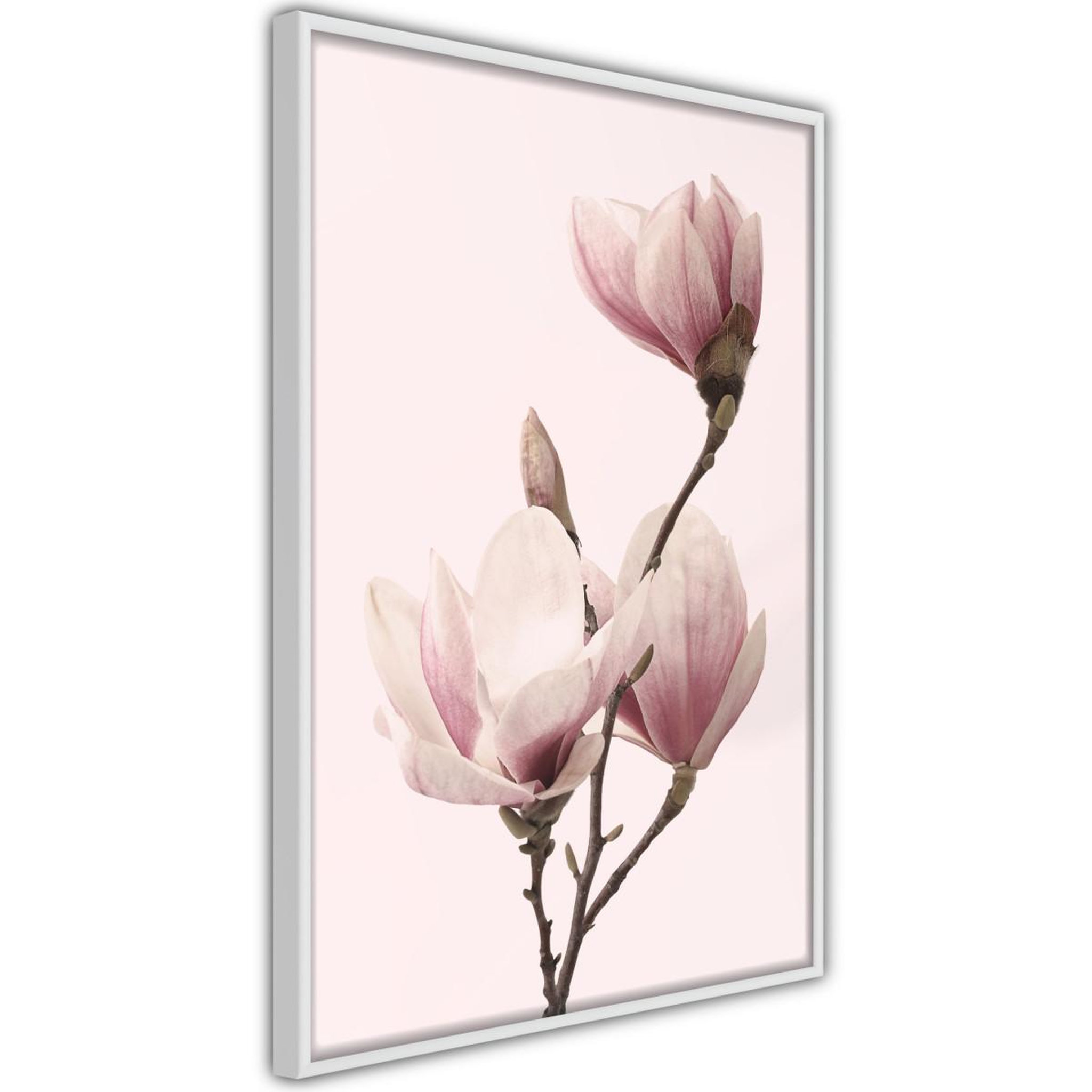 Paris Prix Affiche murale encadrée  blooming magnolias iii