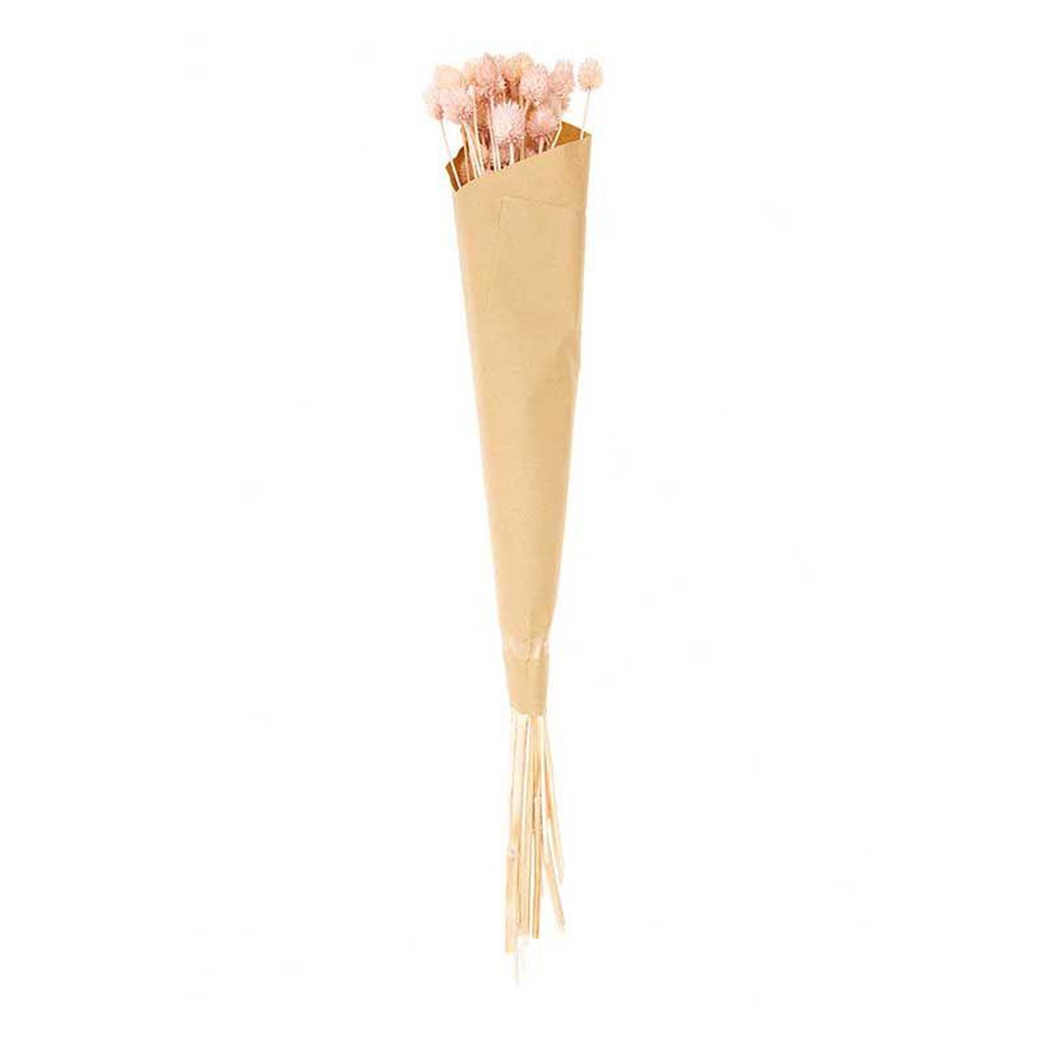 Voir la diapositive 2 : RICO DESIGN Cardères japonais séchés rose - 70 cm