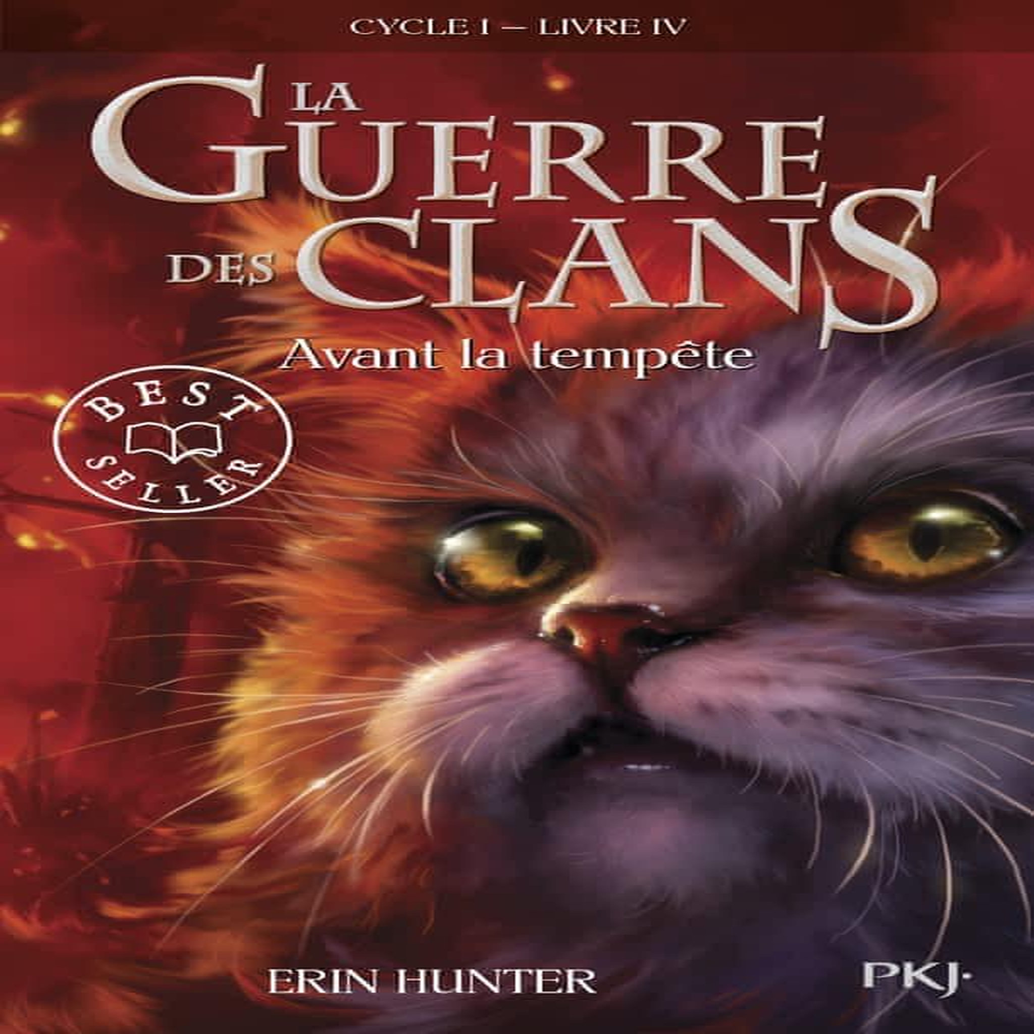 LA GUERRE DES CLANS (CYCLE 1) TOME 4 : AVANT LA TEMPETE, Hunter Erin
