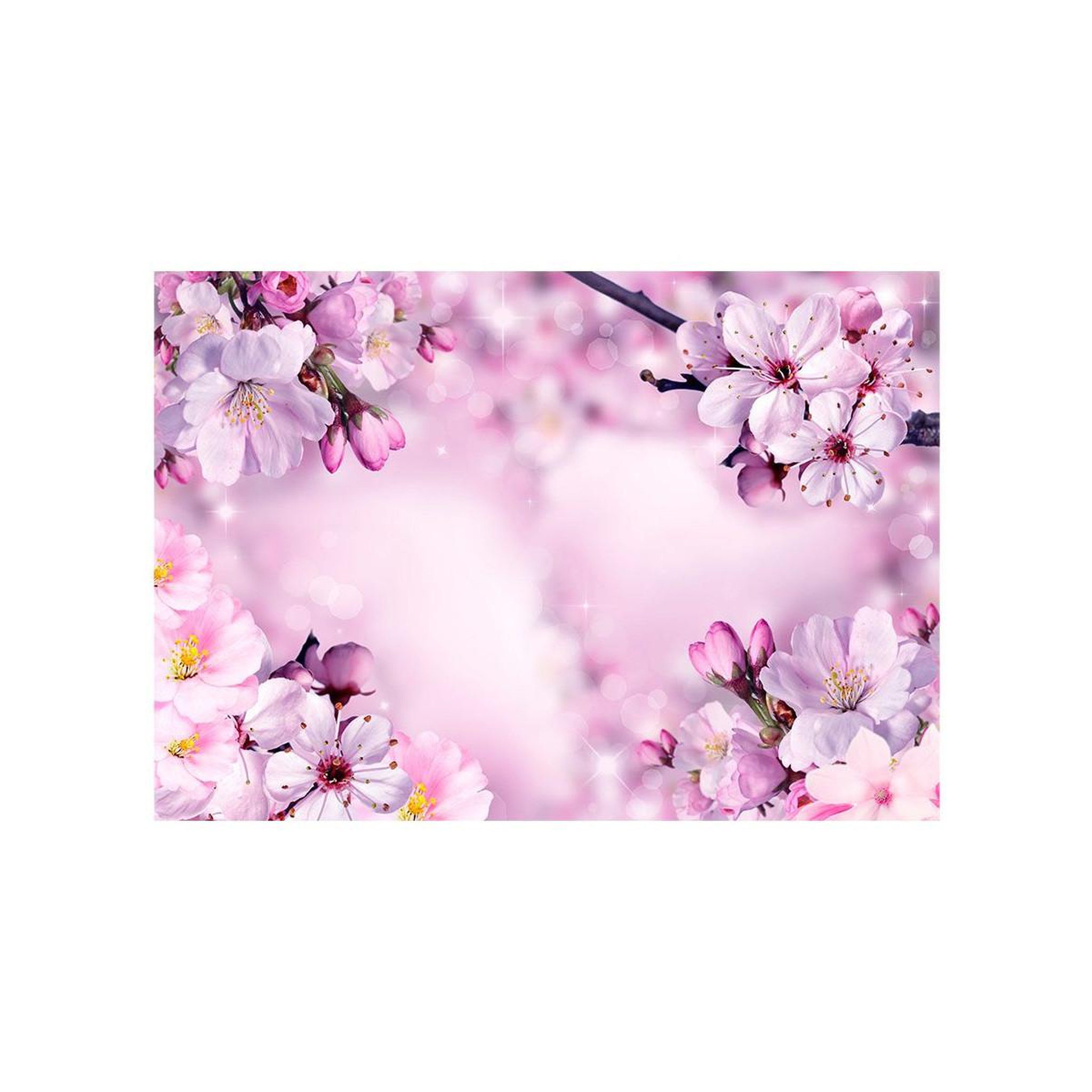 Voir la diapositive 2 : Paris Prix Papier peint  say hello to spring