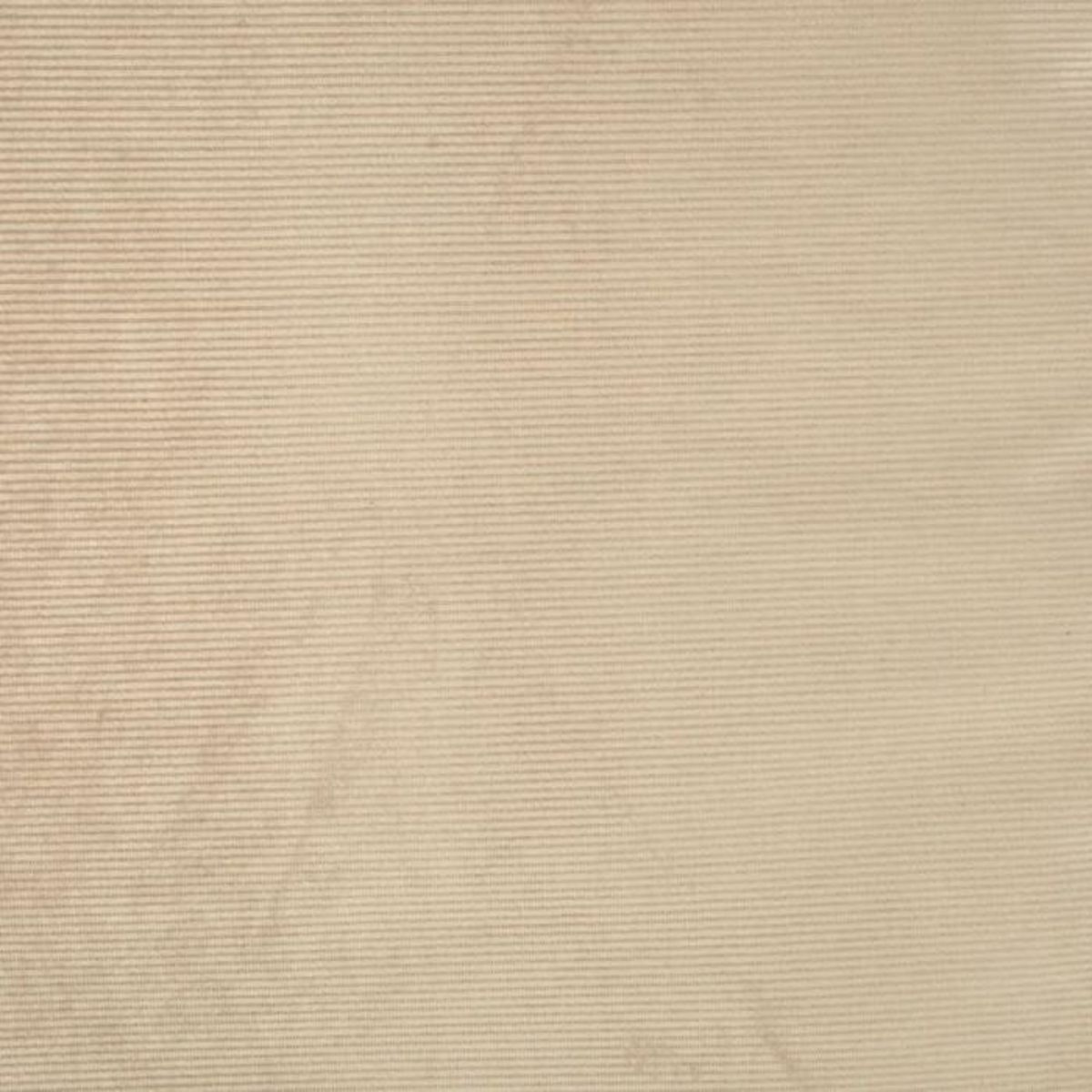 Paris Prix Coussin Rectangle Chien & Chat Velours  Crafty  80cm Noisette