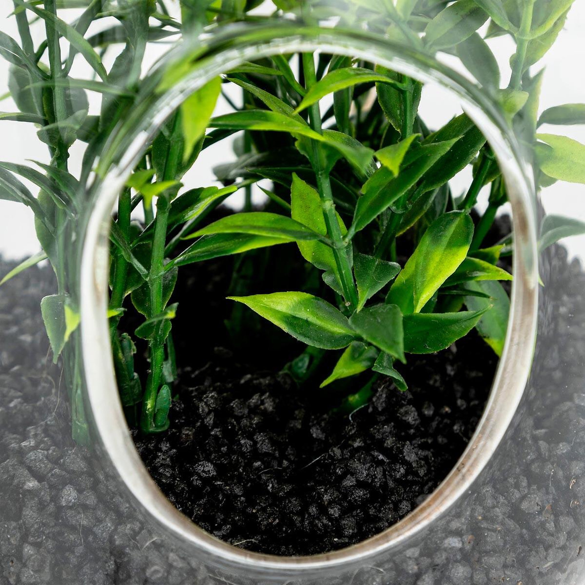 Voir la diapositive 4 : ATMOSPHERA Terrarium à suspendre  naly  15cm vert