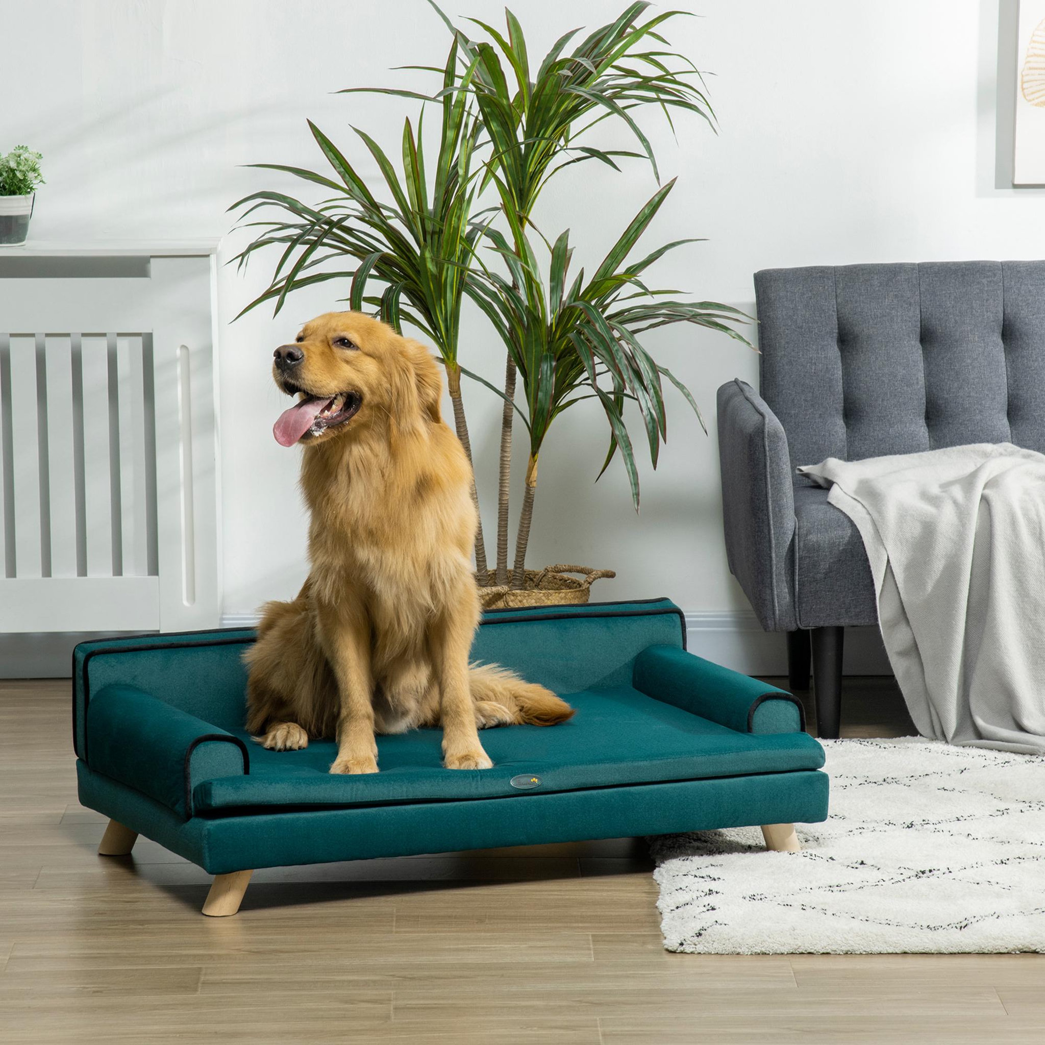 Voir la diapositive 2 : PAWHUT Canapé chien lit pour chien design scandinave coussin moelleux piètement bois dim. 100l x 62l x 32h cm polyester bleu canard
