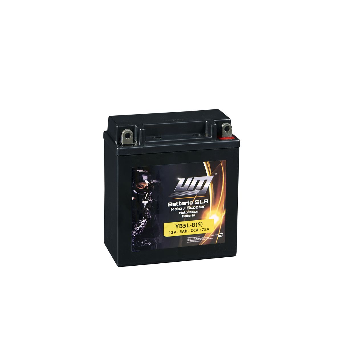 Batterie pour moto YB5L-B