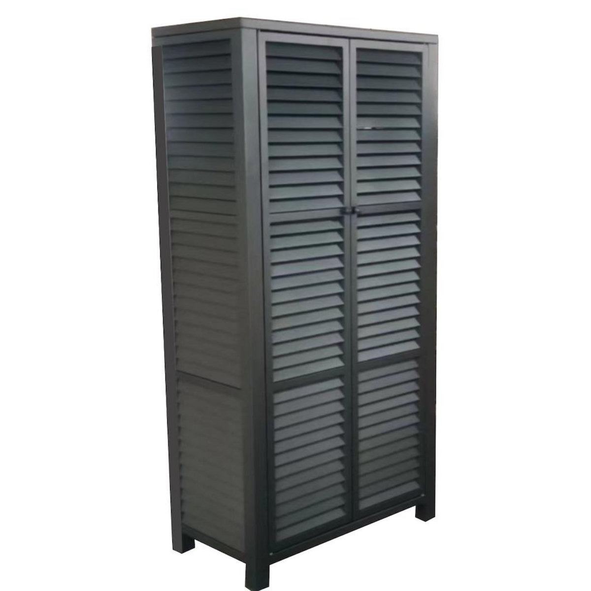 Proloisirs Armoire 2 portes persiennes - Aluminium - Graphite - Ouverture par pression et aimant