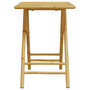 Voir la diapositive 4 : VIDAXL Table de jardin pliable 55x55x75 cm bambou
