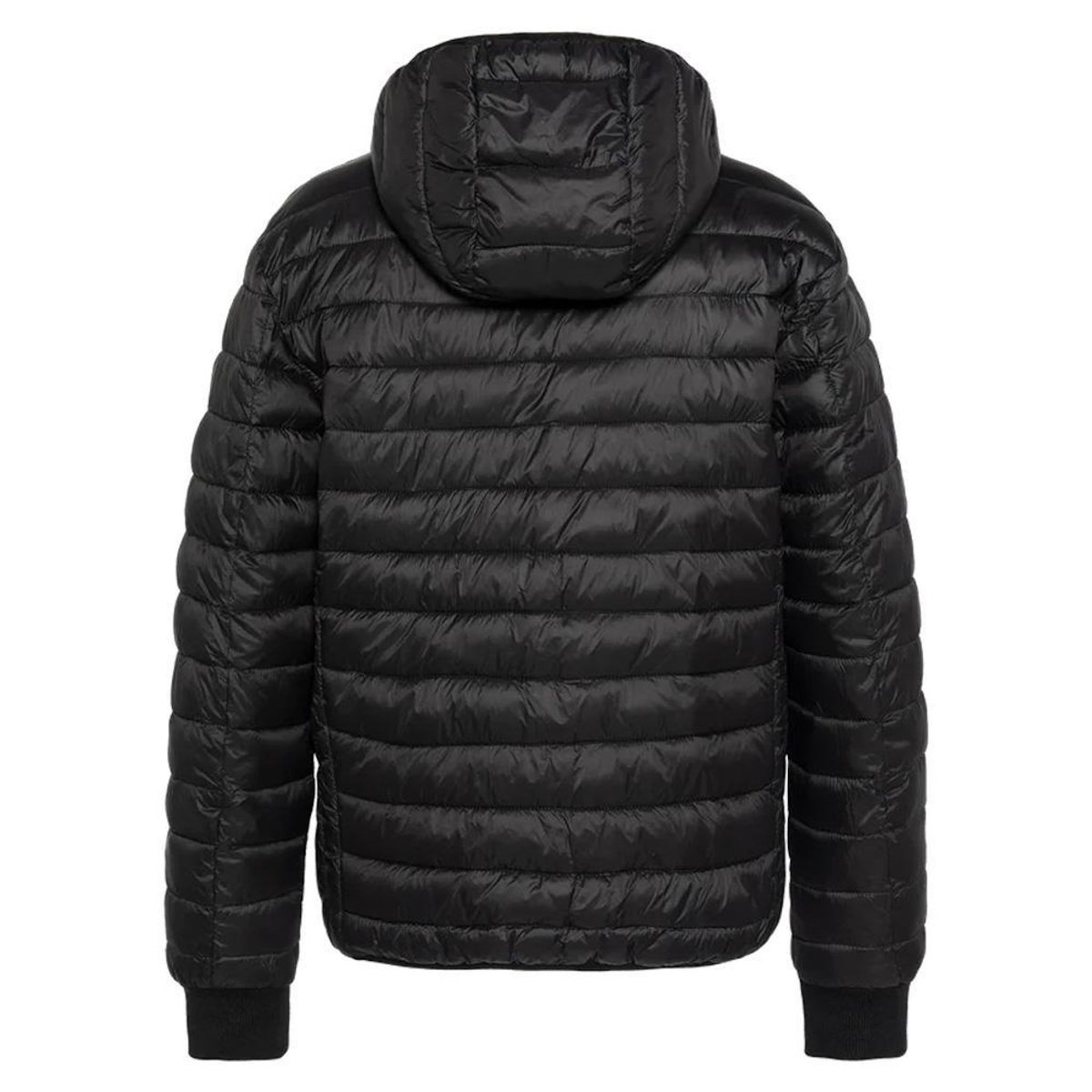 Schott Doudoune Noire Homme Schott EXPRESSO
