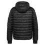 Voir la diapositive 2 : Schott Doudoune Noire Homme Schott EXPRESSO