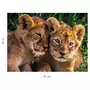 RAVENSBURGER Puzzle Nathan 250 pièces - Adorables lionceaux