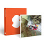 Voir la diapositive 1 : Smartbox Session de canyoning de 6h près de Lyon - Coffret Cadeau Sport & Aventure