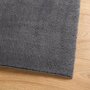 Voir la diapositive 4 : VIDAXL Tapis HUARTE a poils courts doux lavable anthracite 160x160 cm