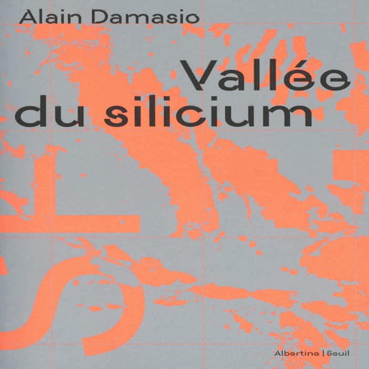 VALLEE DU SILICIUM, Damasio Alain