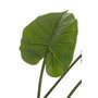 Voir la diapositive 2 : Paris Prix Plante Artificielle  Taro Sauvage  123cm Vert