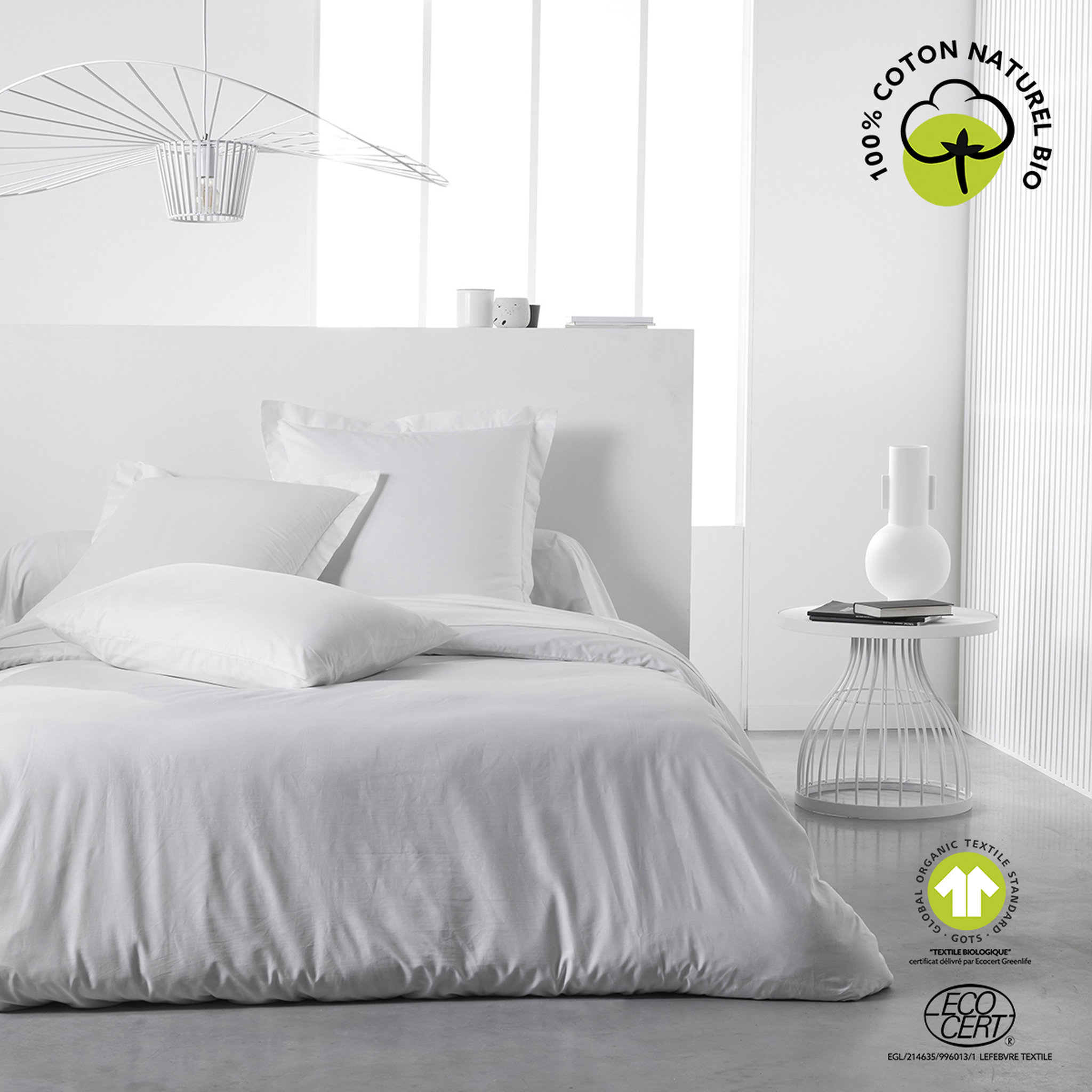 Voir la diapositive 3 : TODAY Taie d'oreiller unie en Coton 57 fils ORGANIC 
