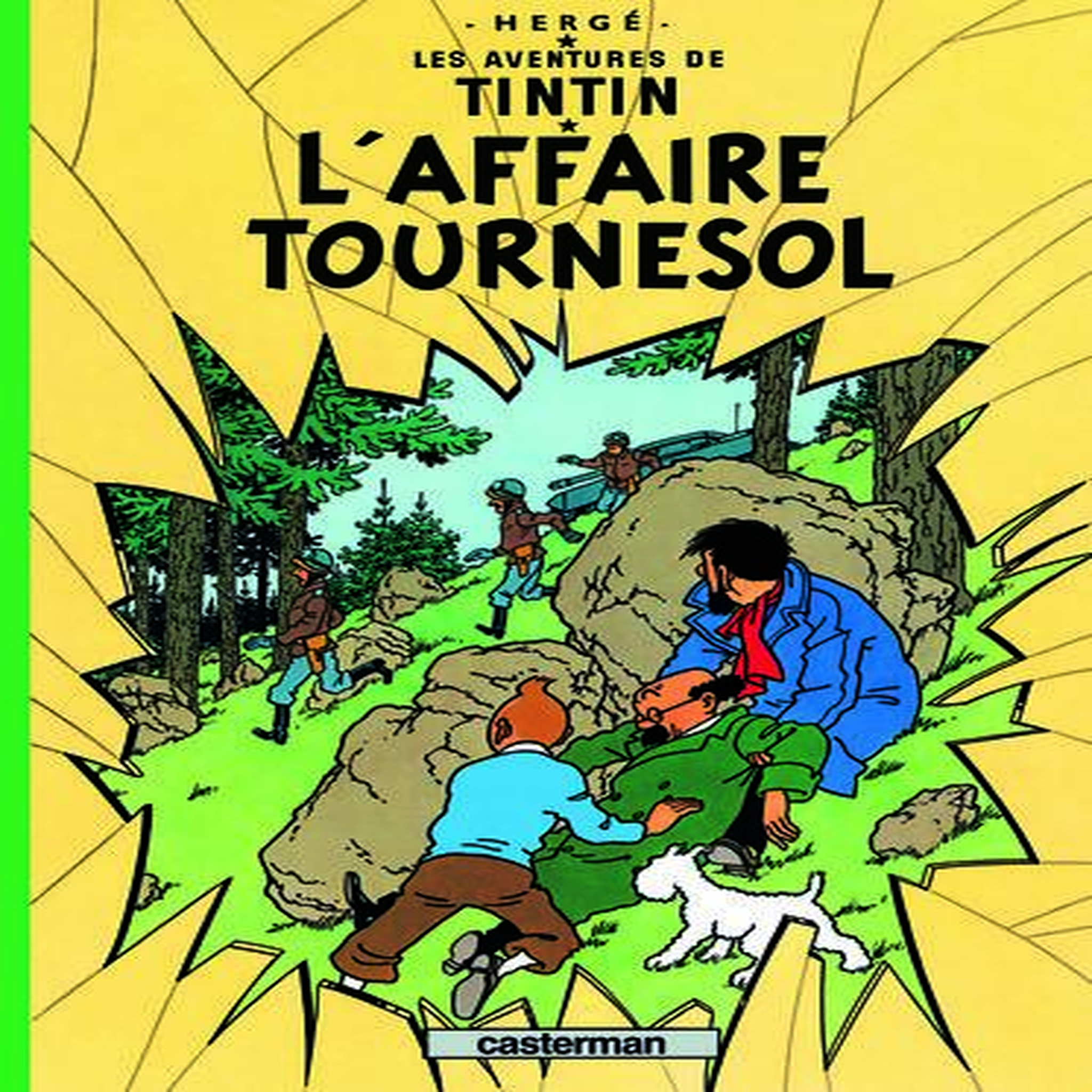 LES AVENTURES DE TINTIN TOME 18 : L'AFFAIRE TOURNESOL, Hergé