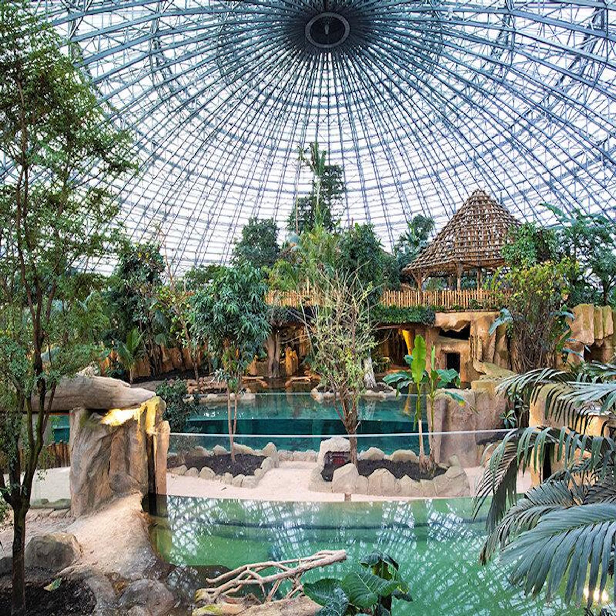 Smartbox Billets pour le ZooParc de Beauval 2026 : 2 entrées adulte et 1 entrée enfant pour 2 journées - Coffret Cadeau Multi-thèmes