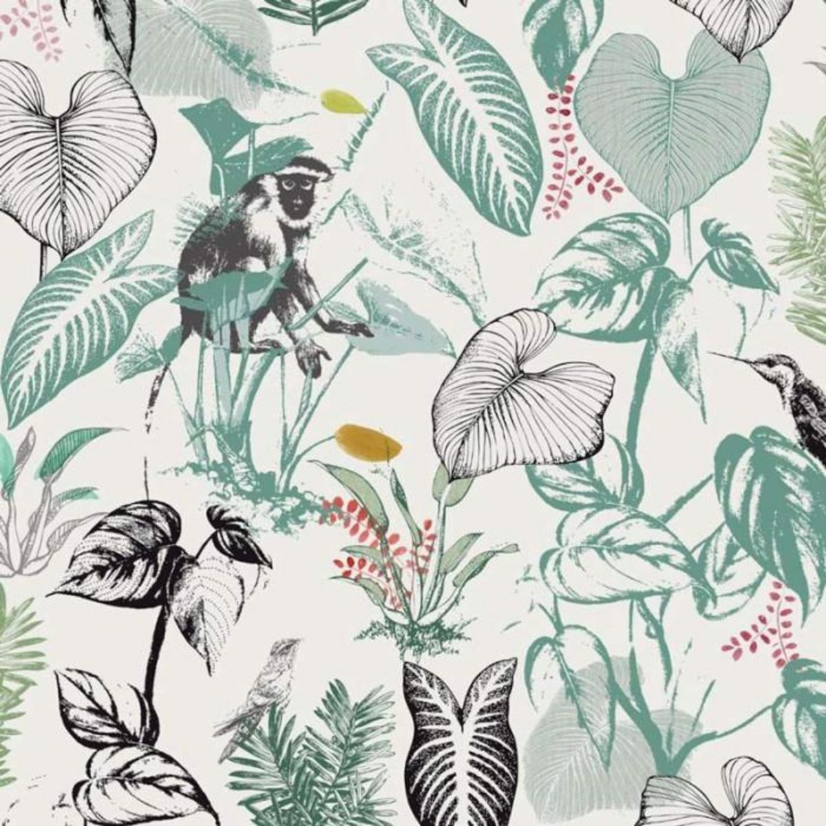 Paris Prix Parure de Lit 3 Pièces  Monkey  220x240cm Multicolore