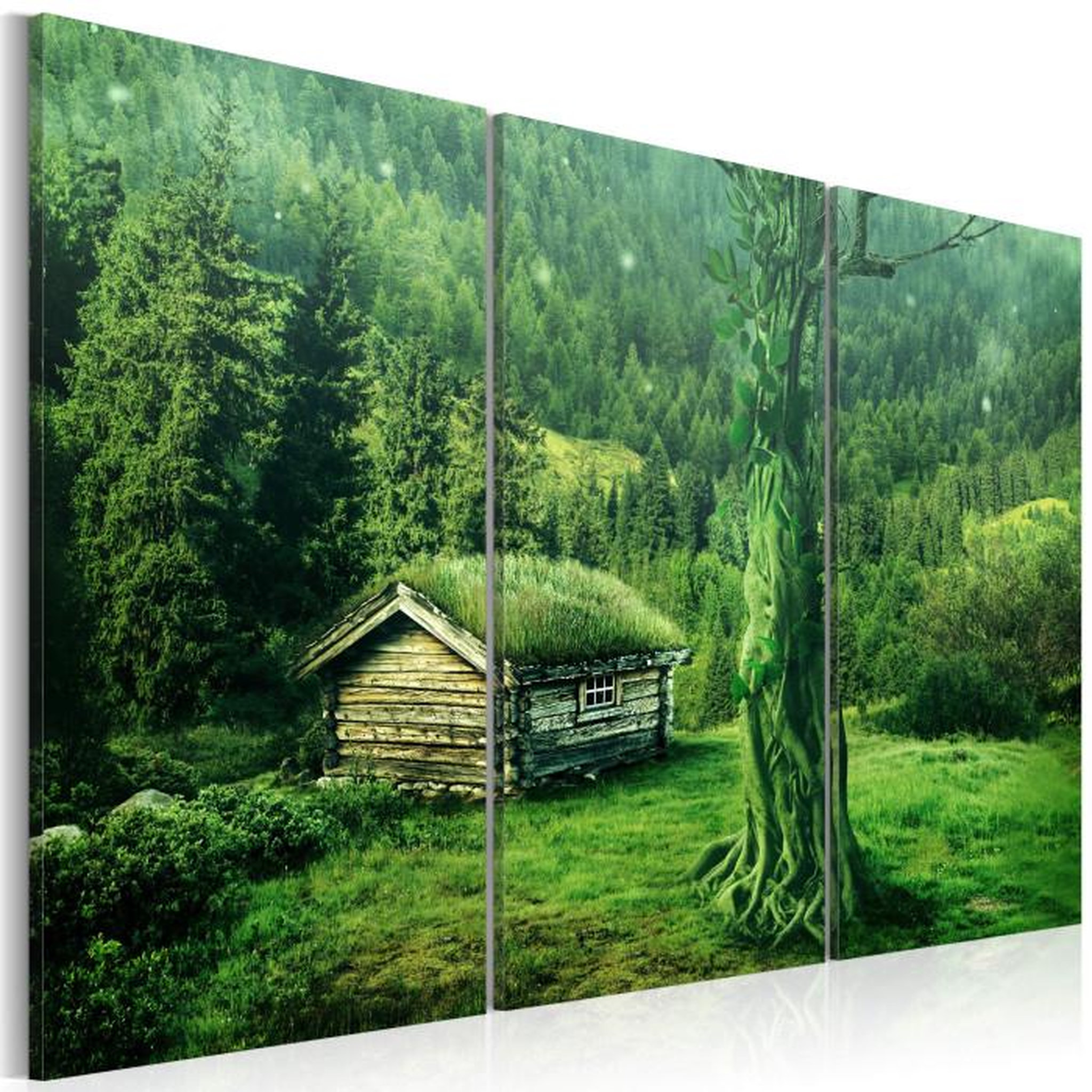 Paris Prix Tableau Imprimé  écosystème Forestier. Coloris disponibles : Multicolore