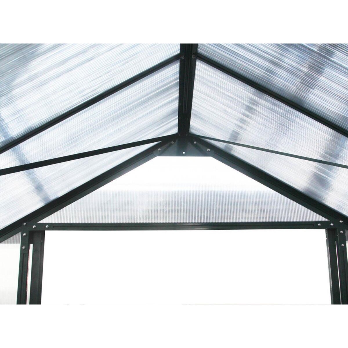 Habitat et Jardin Serre jardin polycarbonate  Dahlia  Vert Sapin 7,67 m²