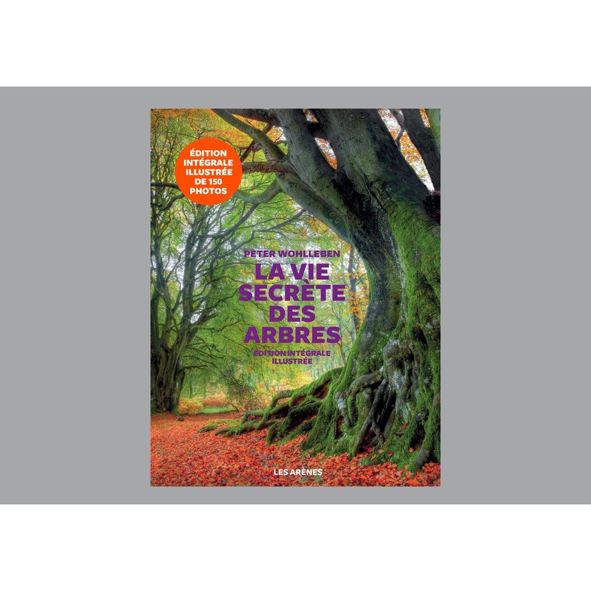 LA VIE SECRÈTE DES ARBRES - EDITION ILLUSTRÉE
