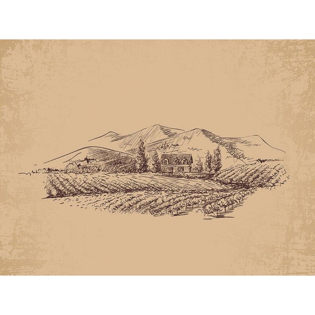 Smartbox Découvertes œnologiques - Coffret Cadeau Gastronomie