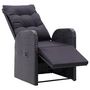 Voir la diapositive 5 : VIDAXL Chaises de jardin inclinables coussins lot de 2 Resine tressee
