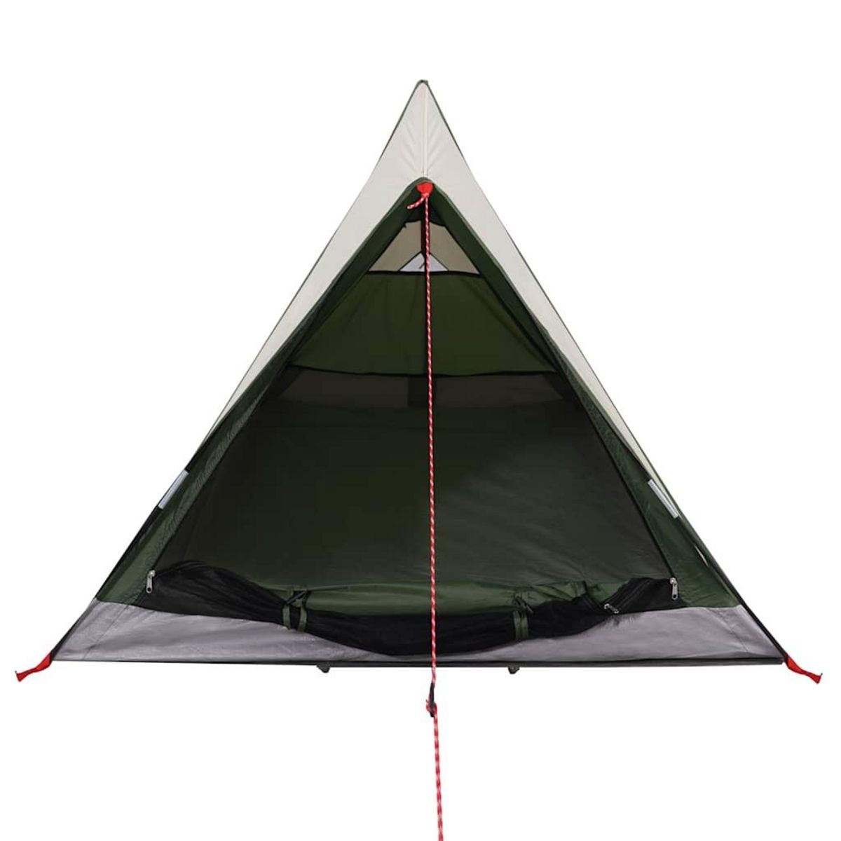 VIDAXL Tente de camping 2 personnes vert impermeable