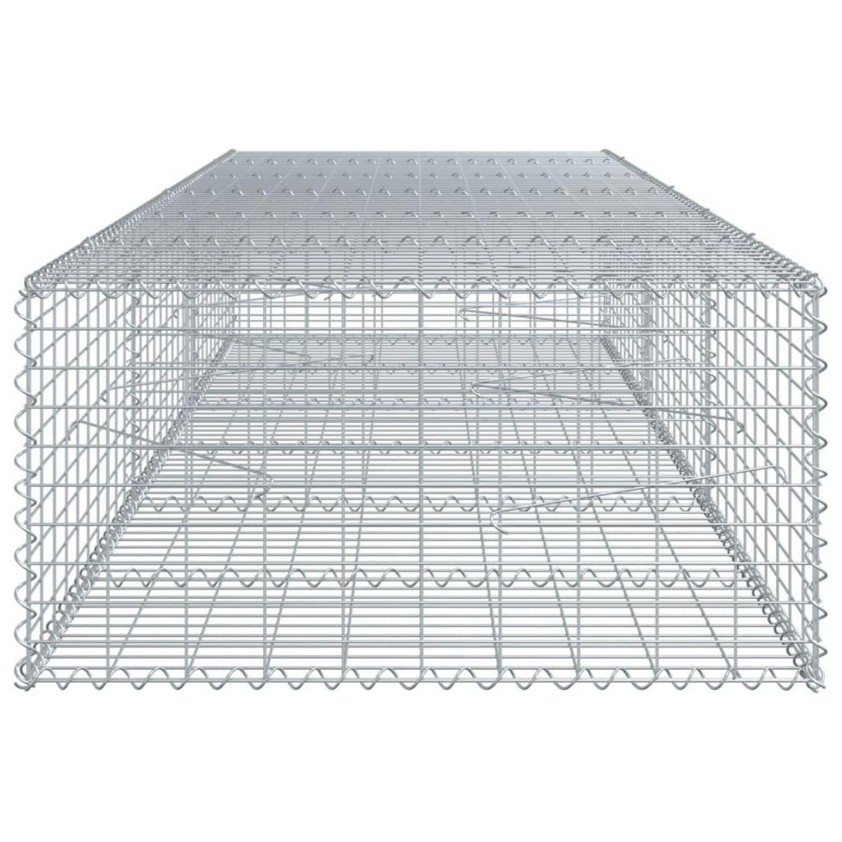 VIDAXL Panier gabion avec couvercle 300x100x50 cm fer galvanise