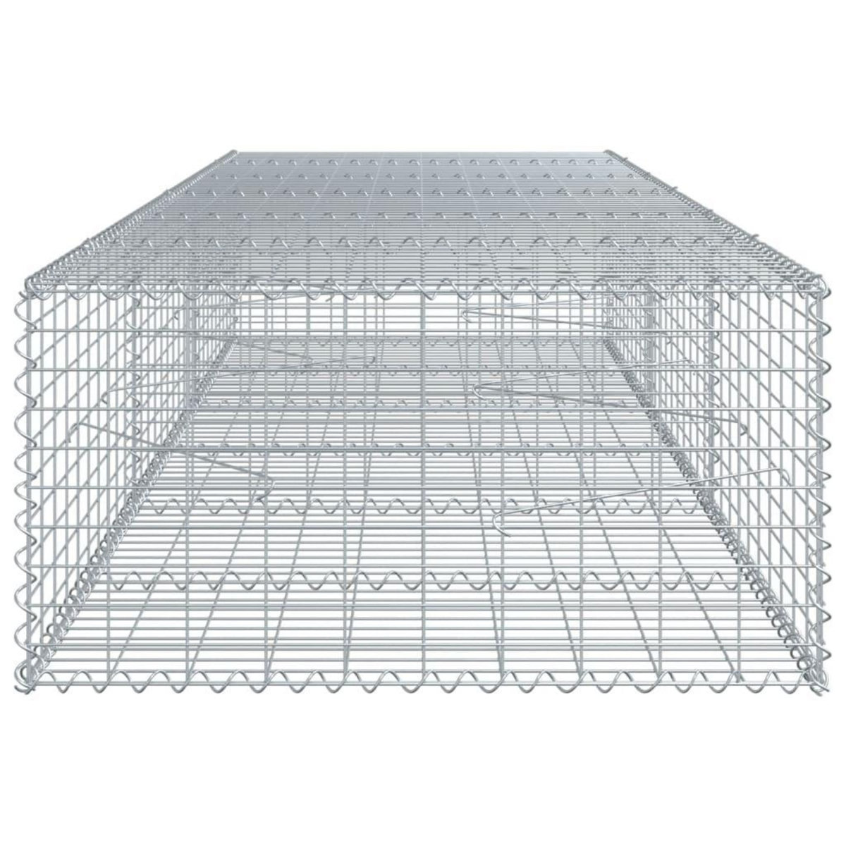 VIDAXL Panier gabion avec couvercle 300x100x50 cm fer galvanise