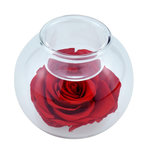 SC CRYSTAL Bougeoir en verre décoré d'une rose éternelle - stabilisée rouge