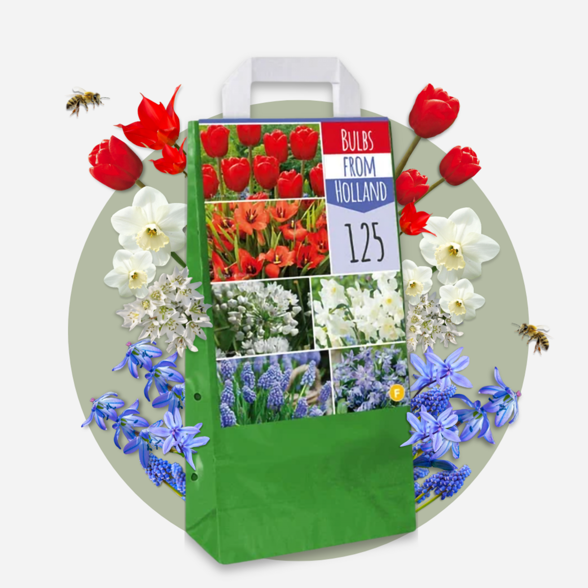 PLANT IN A BOX Mélange de bulbes des Pays-Bas - Set de 250
